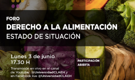 Foro XI: DERECHO A LA ALIMENTACIÓN: ESTADO DE SITUACIÓN
